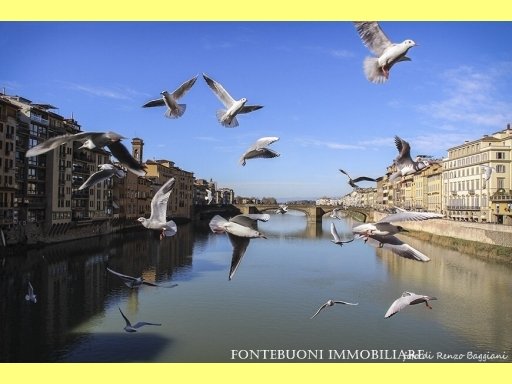 negozio in vendita a Firenze in zona Centro Storico