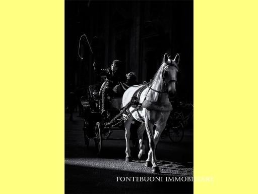 esavano in vendita a Firenze in zona Centro Duomo