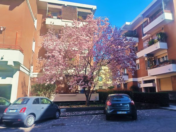 appartamento in vendita a Firenze in zona Careggi