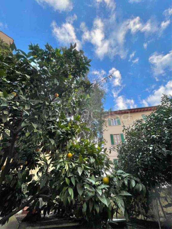 appartamento in vendita a Firenze in zona Campo di Marte