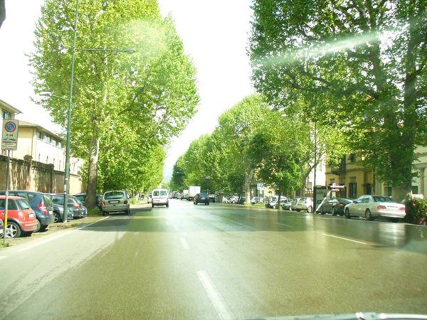 negozio in vendita a Firenze in zona Campo di Marte