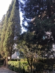 casa indipendente in vendita a Firenze in zona Centro Duomo