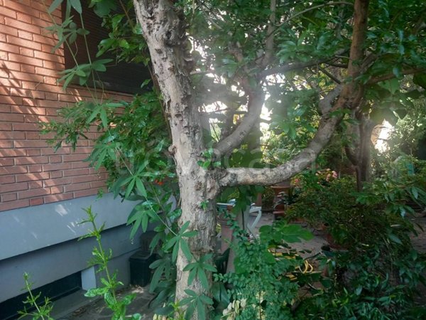 casa indipendente in vendita a Firenze in zona Brozzi