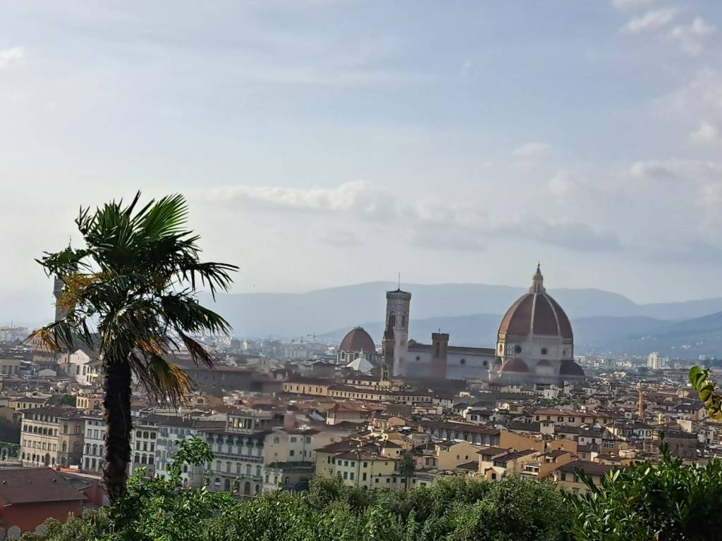 negozio in vendita a Firenze