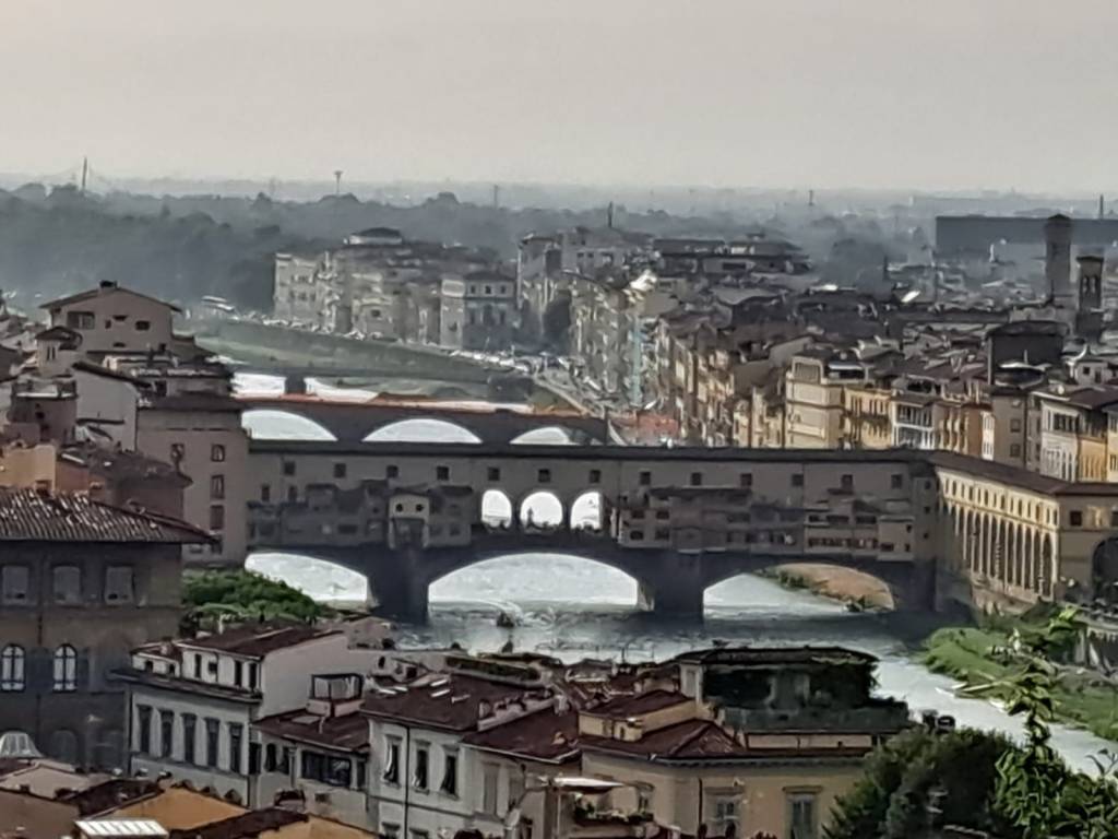 negozio in vendita a Firenze