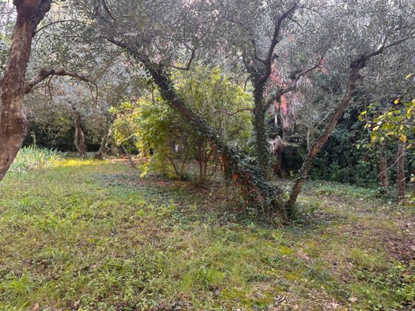 appartamento in vendita a Firenze in zona Settignano