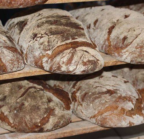 negozio in vendita a Firenze in zona Centro San Frediano