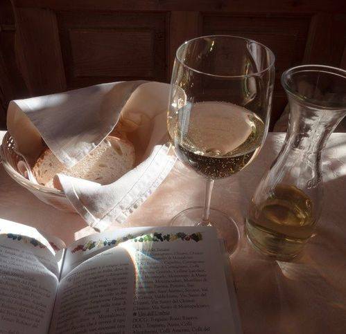 negozio in vendita a Firenze