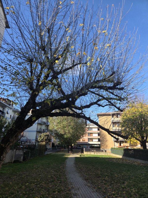 appartamento in vendita a Firenze in zona Soffiano