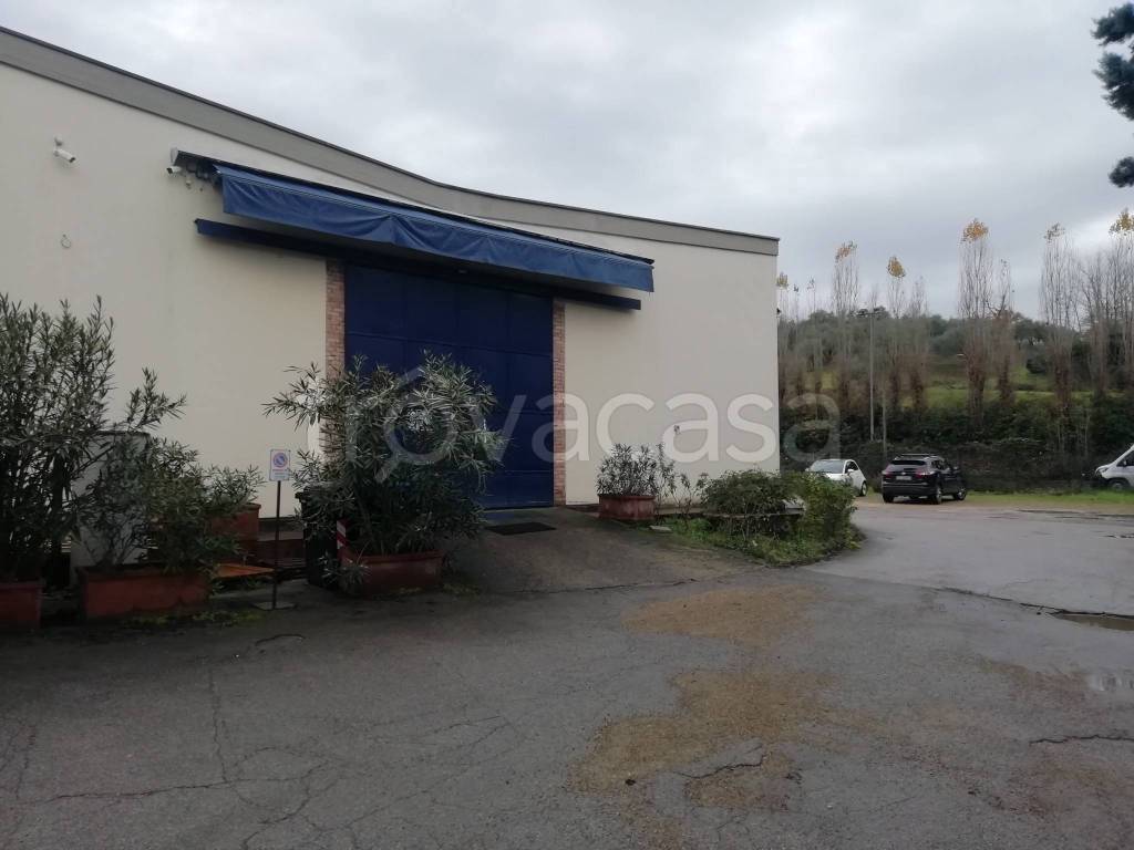 negozio in vendita a Firenze in zona Galluzzo