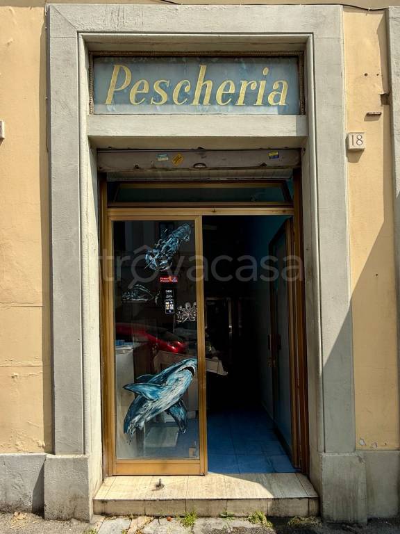 negozio in vendita a Firenze in zona Statuto