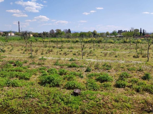 terreno agricolo in vendita a Firenze in zona Mantignano