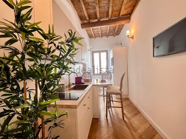 appartamento in vendita a Firenze in zona Centro San Frediano