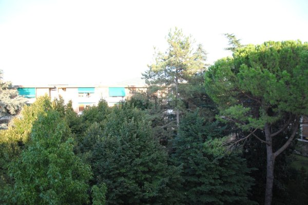 appartamento in vendita a Firenze in zona Gavinana