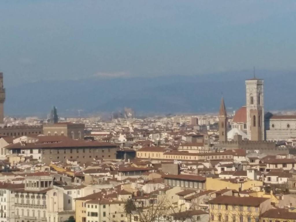 appartamento in vendita a Firenze in zona Legnaia