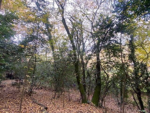 terreno agricolo in vendita a Firenze in zona Porta Romana