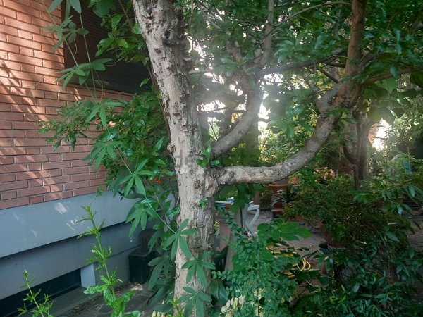 casa indipendente in vendita a Firenze in zona Brozzi