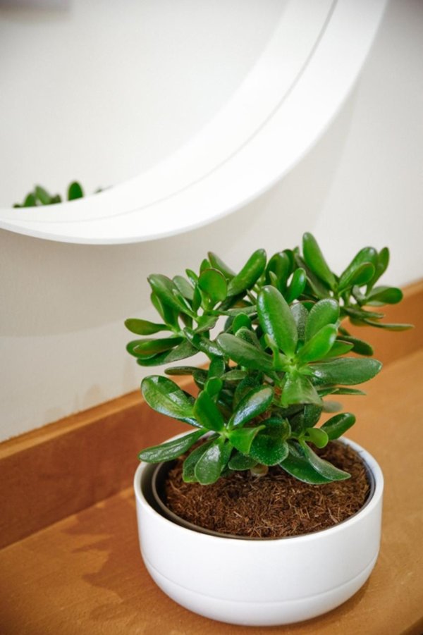 appartamento in vendita a Firenze in zona Firenze Nova