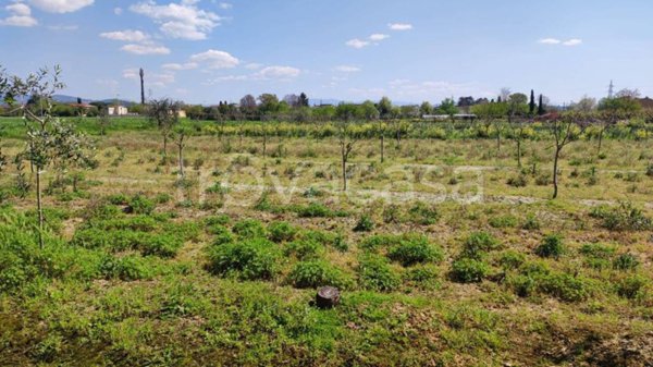 terreno agricolo in vendita a Firenze in zona Mantignano