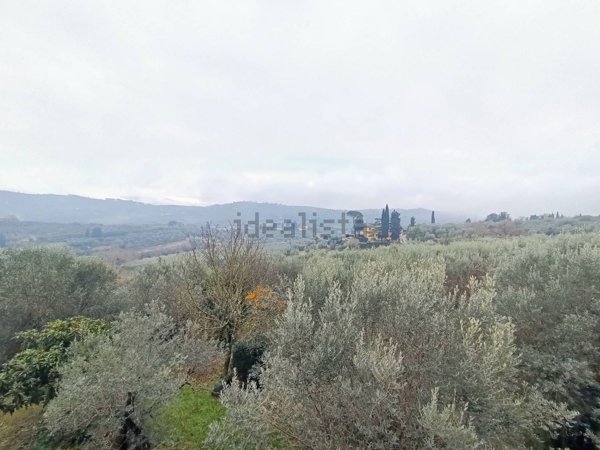 appartamento in vendita a Firenze in zona Galluzzo