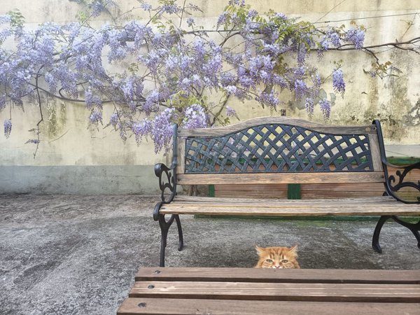 appartamento in vendita a Firenze in zona Firenze Nova