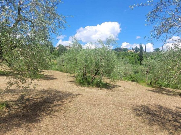 terreno agricolo in vendita a Firenze