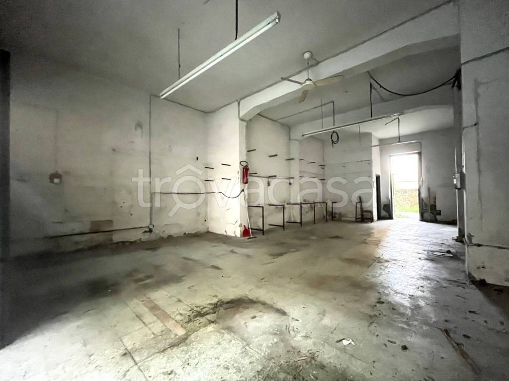 negozio in vendita a Firenze in zona Novoli