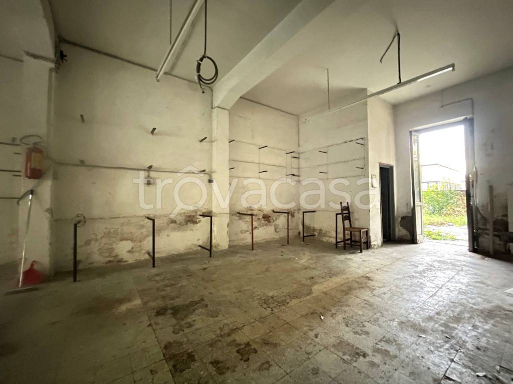 negozio in vendita a Firenze in zona Novoli