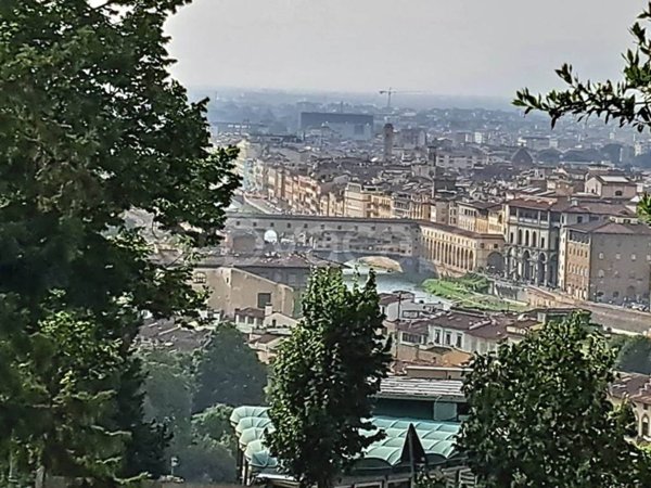 negozio in vendita a Firenze