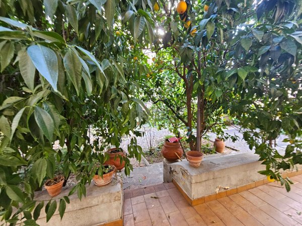 casa indipendente in vendita a Firenze in zona Centro Storico