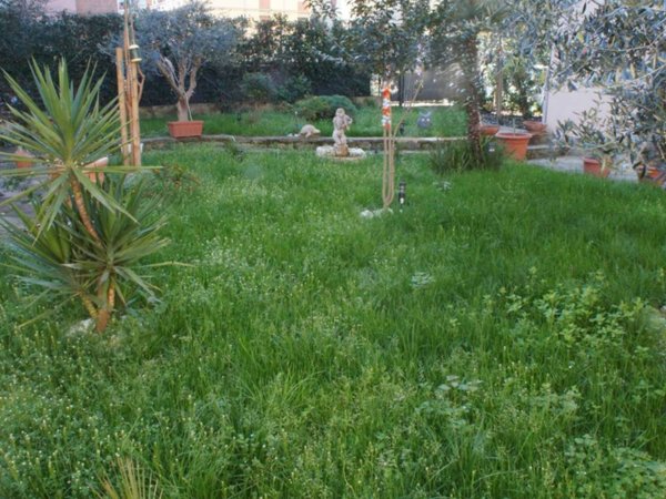 casa indipendente in vendita a Firenze in zona Isolotto