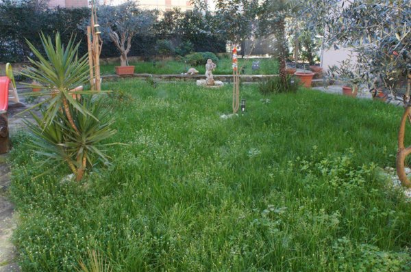 casa indipendente in vendita a Firenze in zona Isolotto