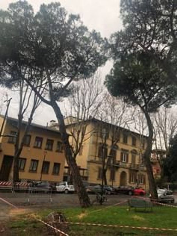 casa indipendente in vendita a Firenze in zona Campo di Marte