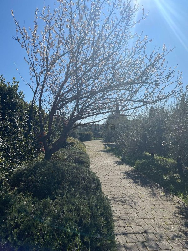 casa indipendente in vendita a Firenze