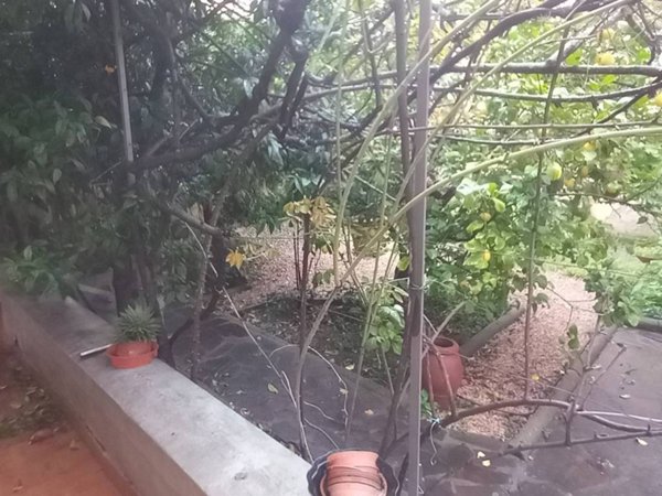 casa indipendente in vendita a Firenze