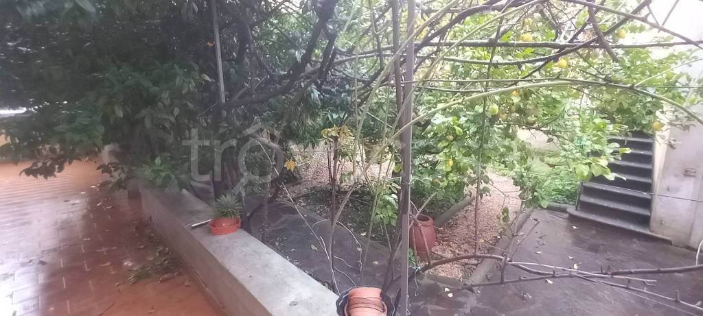 casa indipendente in vendita a Firenze in zona Centro Storico