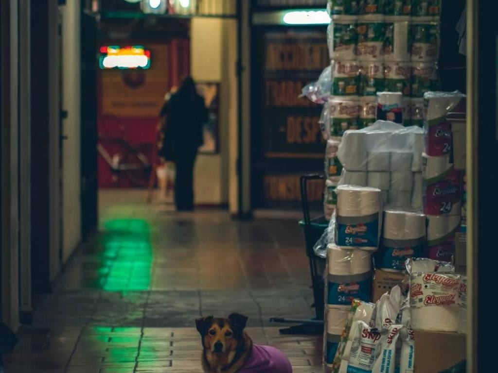 negozio in vendita a Firenze in zona Campo di Marte