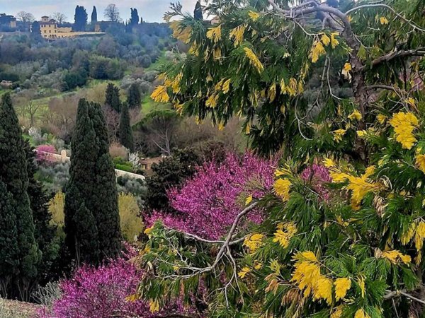 casa indipendente in vendita a Firenze in zona Gavinana