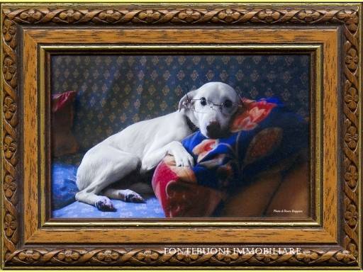 negozio in vendita a Firenze in zona Centro San Lorenzo