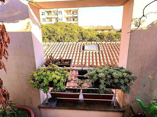 appartamento in vendita a Firenze in zona Novoli