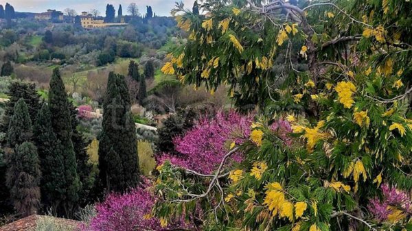 casa indipendente in vendita a Firenze in zona Porta Romana
