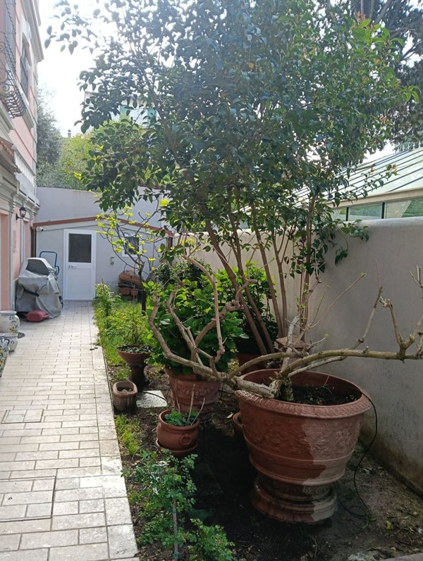 appartamento in vendita a Firenze in zona Campo di Marte