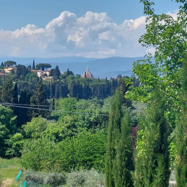 terreno agricolo in vendita a Firenze in zona Porta Romana