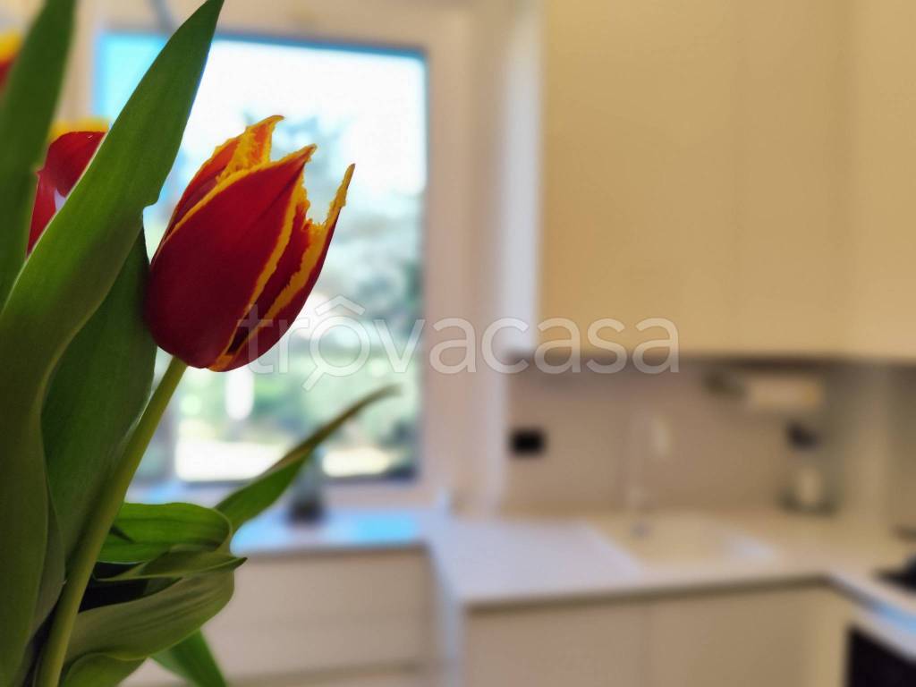 appartamento in vendita a Firenze in zona Le Cure