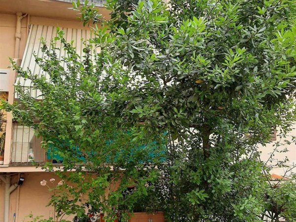 appartamento in vendita a Firenze in zona La Lastra