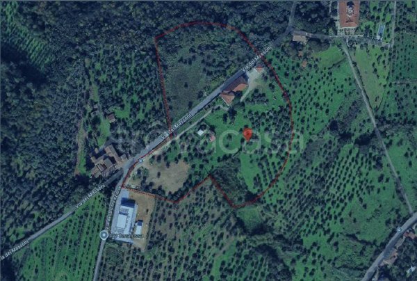 terreno agricolo in vendita a Firenze