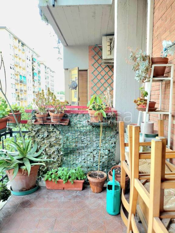 appartamento in vendita a Firenze in zona Novoli