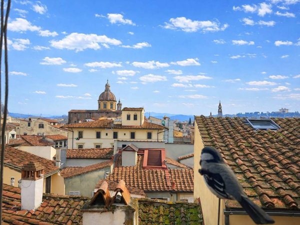 appartamento in vendita a Firenze in zona Centro San Frediano