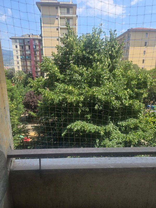 appartamento in vendita a Firenze in zona Novoli