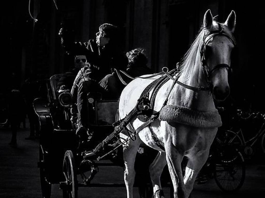 negozio in vendita a Firenze in zona Careggi